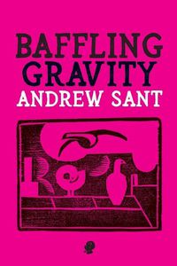 Cover image for Baffling Gravity