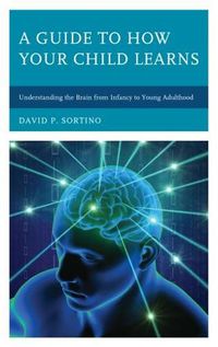 Cover image for A Guide to How Your Child Learns: Understanding the Brain from Infancy to Young Adulthood