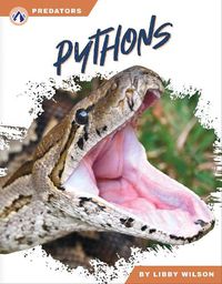 Cover image for Pythons