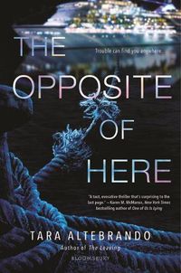 Cover image for The Opposite of Here
