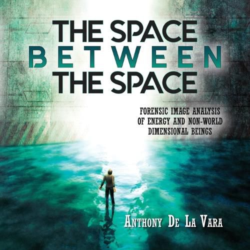 Cover image for The Space Between the Space