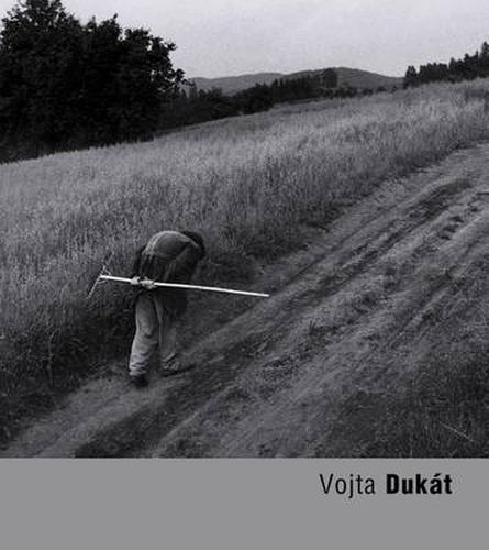 Cover image for Vojta Dukat