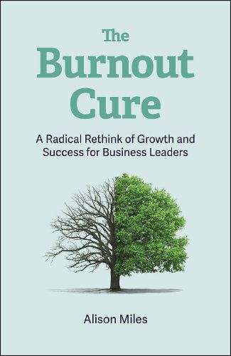 Cover image for The Burnout Cure