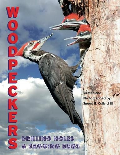 Cover image for Woodpeckers