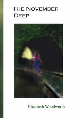 Cover image for The November Deep