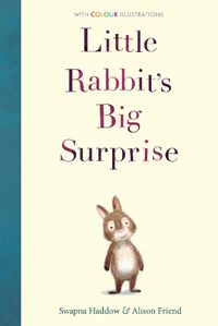 Cover image for Little Rabbit's Big Surprise