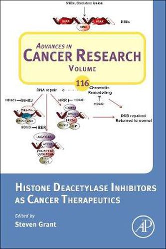 Histone Deacetylase Inhibitors as Cancer Therapeutics