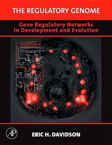 Cover image for The Regulatory Genome: Gene Regulatory Networks in Development and Evolution