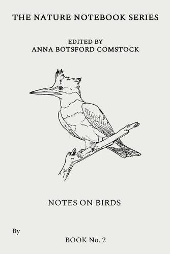 Cover image for Notes on Birds 2