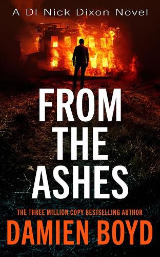 Cover image for From The Ashes