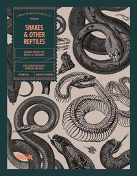 Cover image for Snakes and Other Reptiles