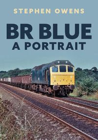 Cover image for BR Blue: A Portrait