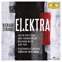 Cover image for Strauss Elektra