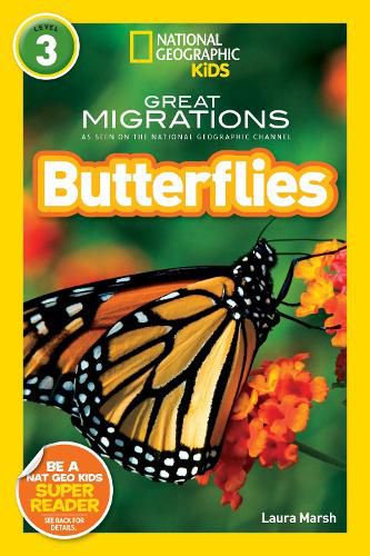 Cover image for Butterflies
