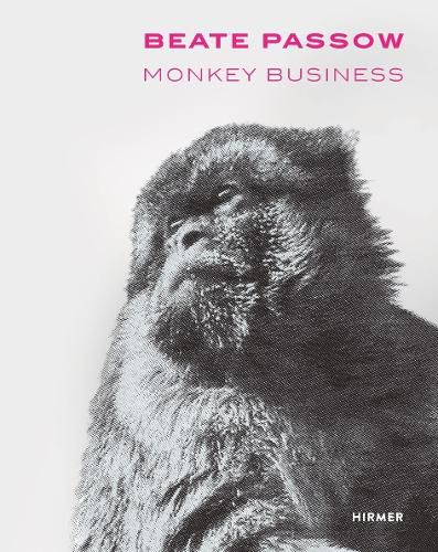 Cover image for Beate Passow: Monkey Business