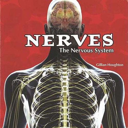 Cover image for Nerves: The Nervous System