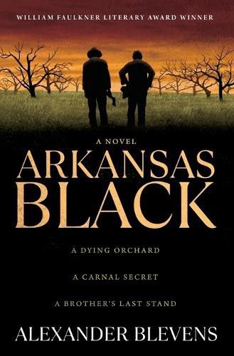 Cover image for Arkansas Black