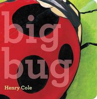 Cover image for Big Bug