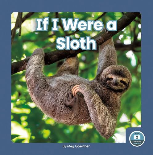 Cover image for If I Were a Sloth