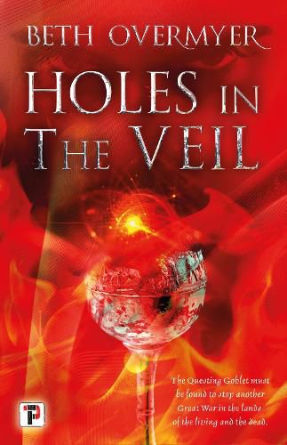 Cover image for Holes in the Veil