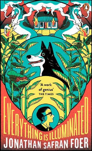 Cover image for Everything is Illuminated