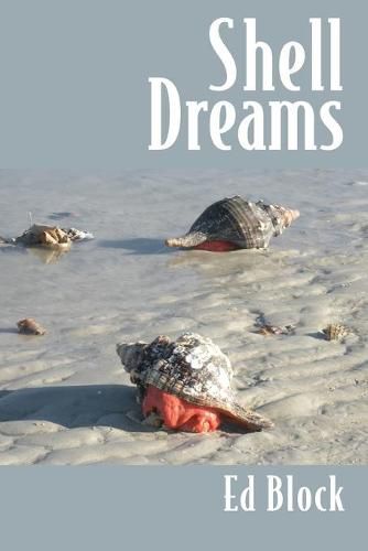 Shell Dreams