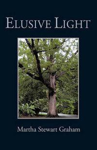 Cover image for Elusive Light