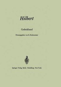 Cover image for Hilbert