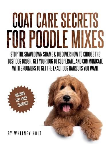 Coat Care Secrets For Poodle Mixes