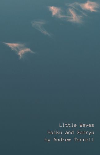 Cover image for Little Waves