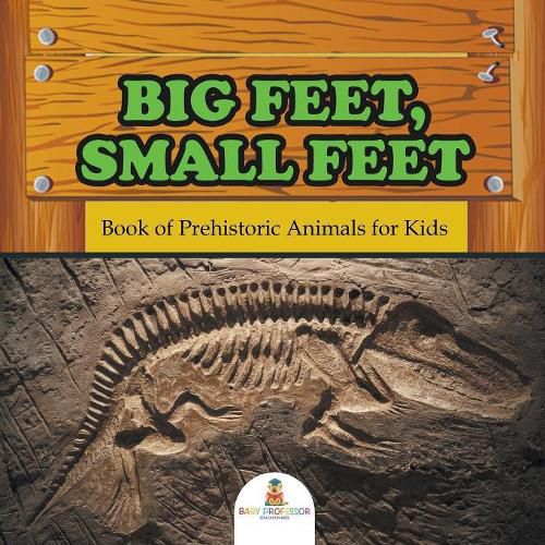 Cover image for Big Feet, Small Feet: Book of Prehistoric Animals for Kids