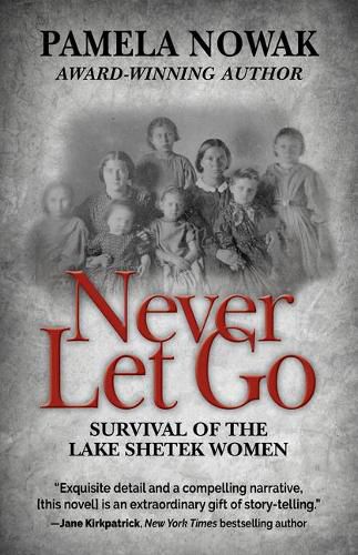 Cover image for Never Let Go