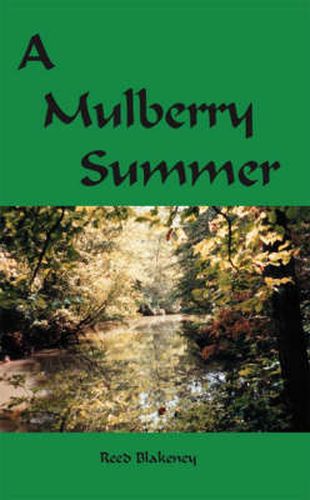 Cover image for A Mulberry Summer