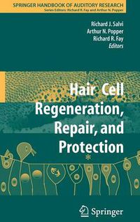 Cover image for Hair Cell Regeneration, Repair, and Protection