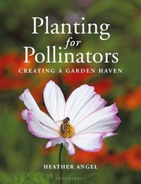 Cover image for Planting for Pollinators: Creating a Garden Haven