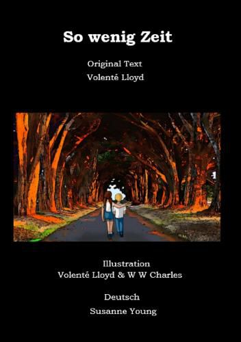 Cover image for So wenig Zeit