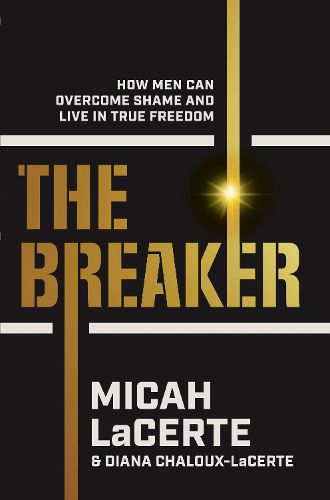 Cover image for The Breaker