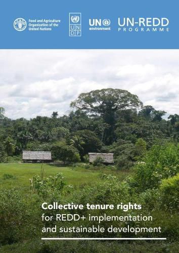 Cover image for Collective tenure rights for REDD+ implementation and sustainable development