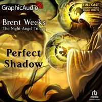 Cover image for A Perfect Shadow [Dramatized Adaptation]