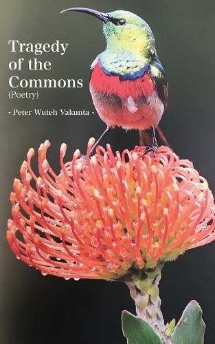 Cover image for Tragedy of the Commons