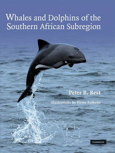 Cover image for Whales and Dolphins of the Southern African Subregion