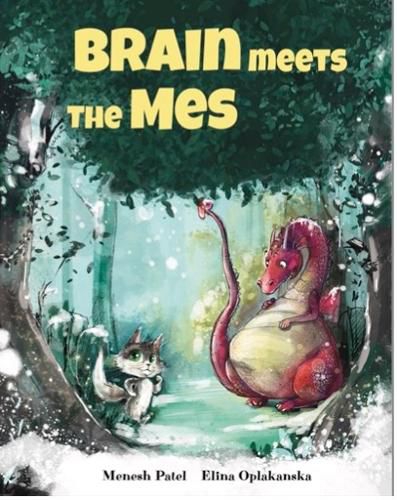 Cover image for Brain Meets The Mes