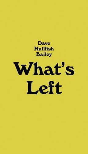 Dave Hullfish Bailey - What"s Left