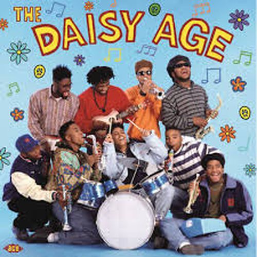 Cover image for The Daisy Age (2LP Vinyl)
