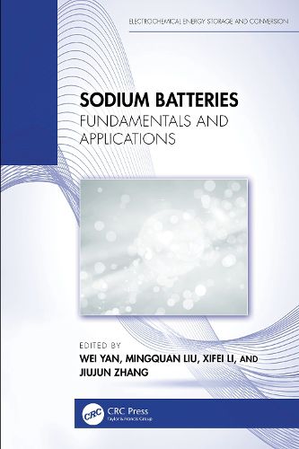 Cover image for Sodium Batteries