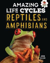 Cover image for Reptiles and Amphibians