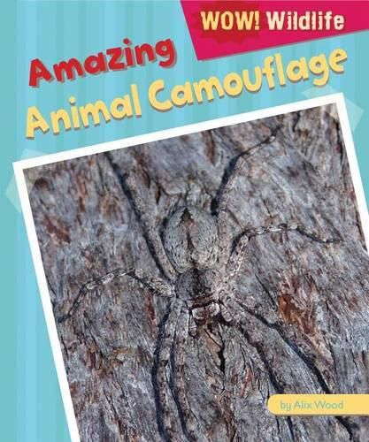 Cover image for Amazing Animal Camouflage