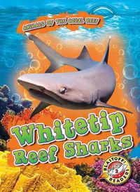 Cover image for Whitetip Reef Sharks