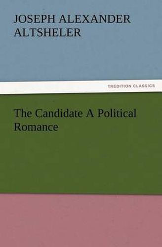 Cover image for The Candidate A Political Romance