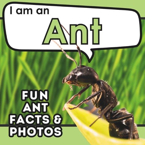 Cover image for I am an Ant